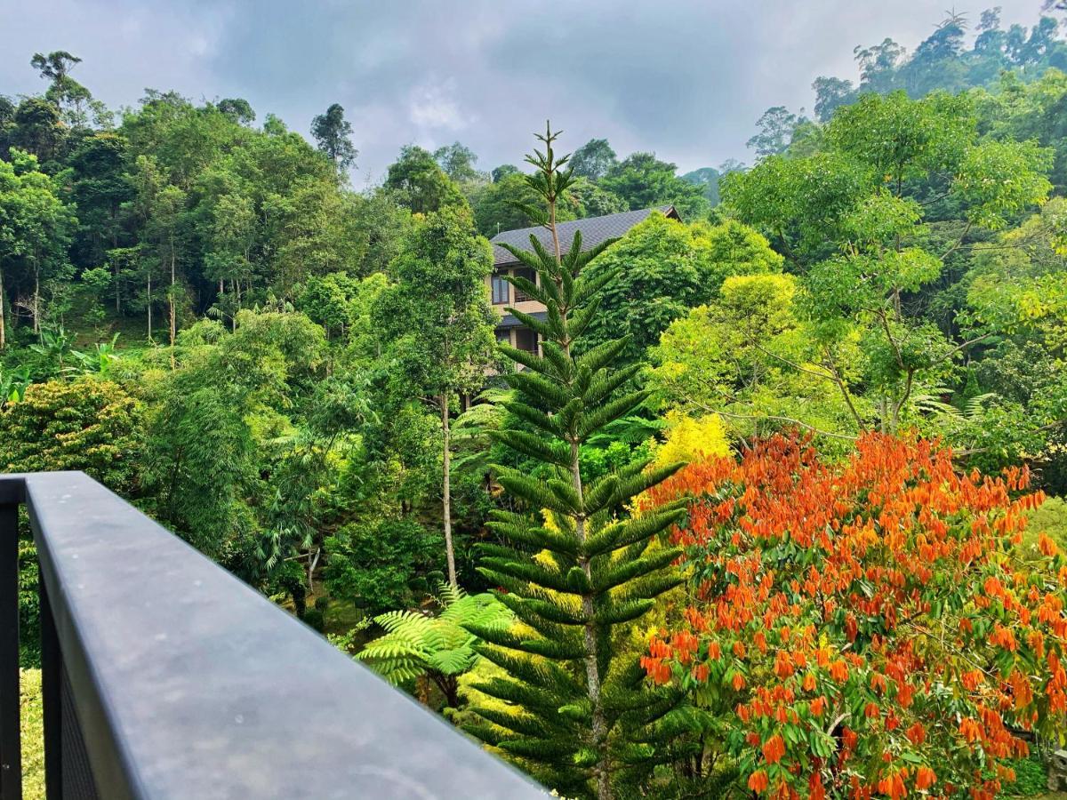 Harmony Valley Retreat Bukit Tinggi Exterior photo